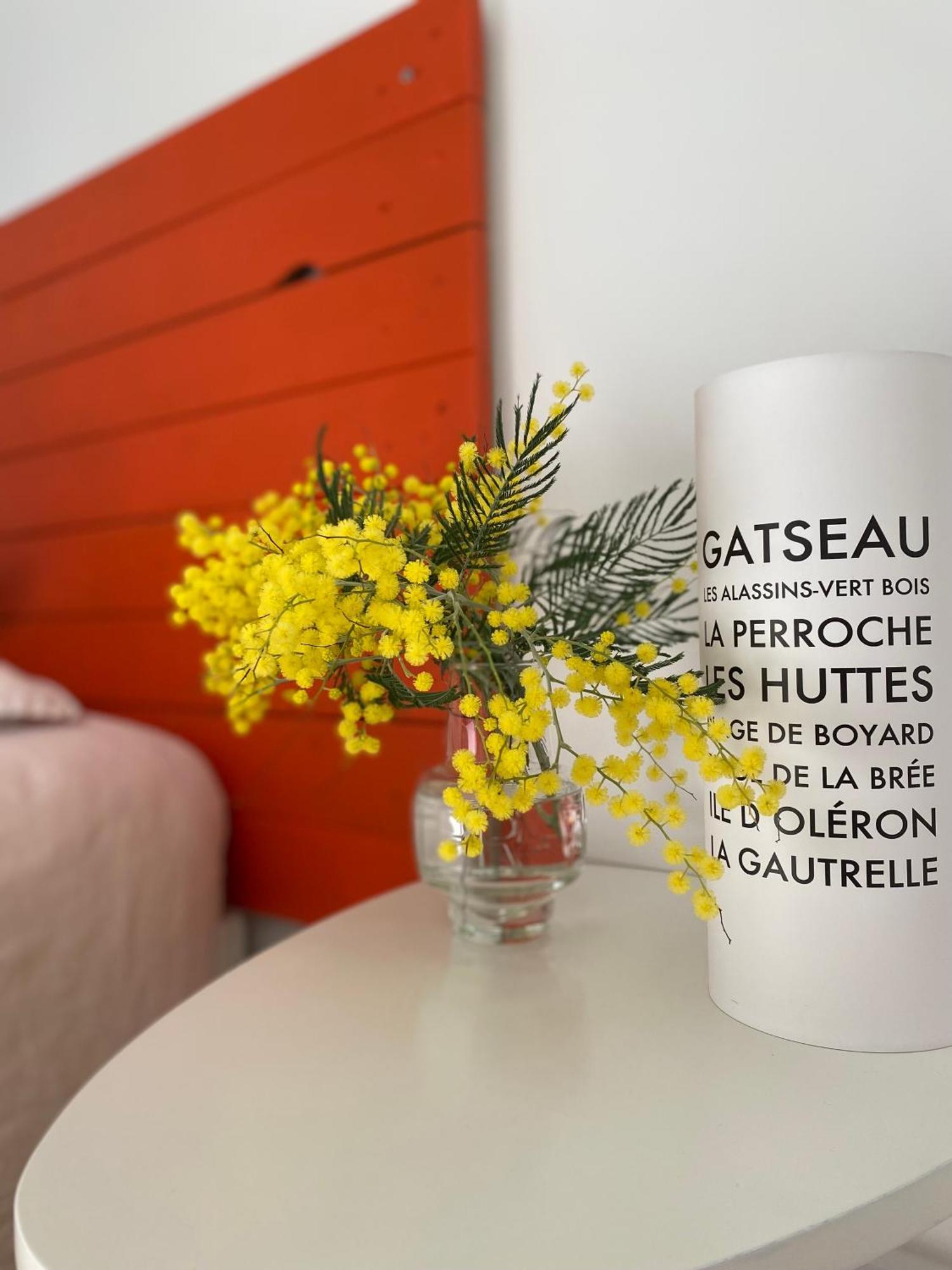 Les Tranquilles D'Oleron Bed and Breakfast La Cotinière Εξωτερικό φωτογραφία